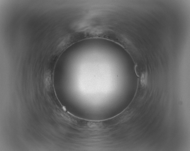 X0000081381299200701182155