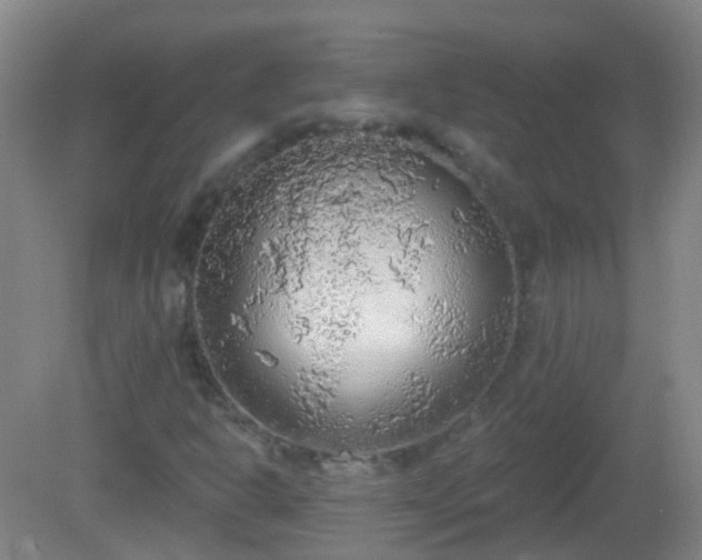 X0000081381302200701182155