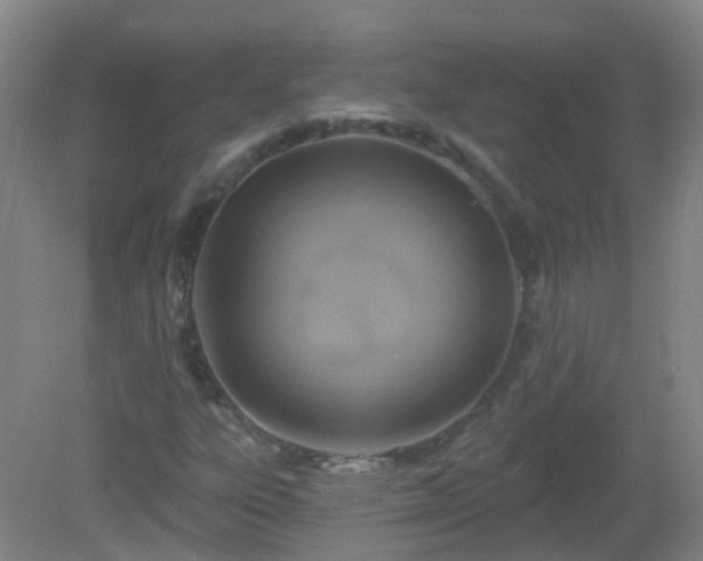 X0000081381303200701182155