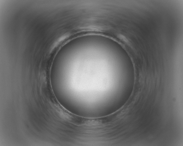 X0000081381307200701182155