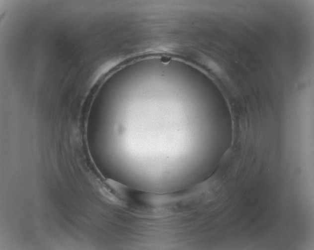 X0000081381308200701182155