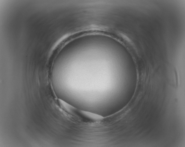 X0000081381310200701182155