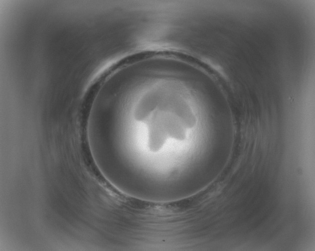 X0000081381311200701182155