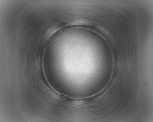 X0000081381313200701182155