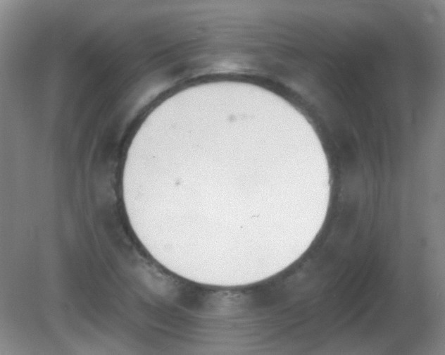 X0000081381314200701182155