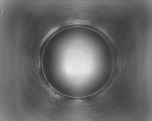 X0000081381317200701182155