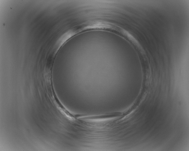 X0000081381329200701182155