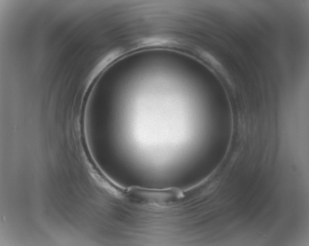 X0000081381330200701182155
