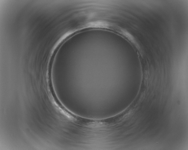 X0000081381331200701182155
