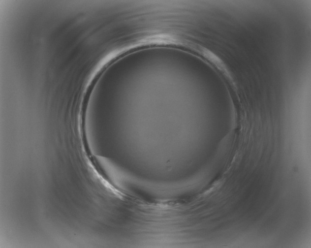 X0000081381334200701182155