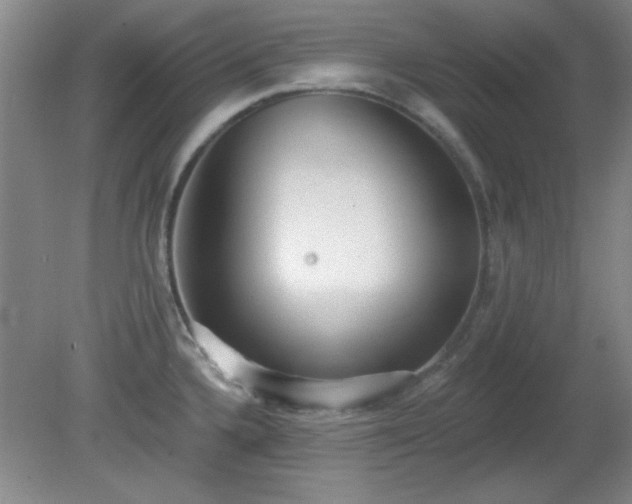 X0000081381336200701182155