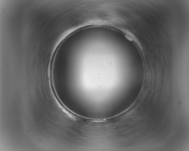 X0000081381343200701182156