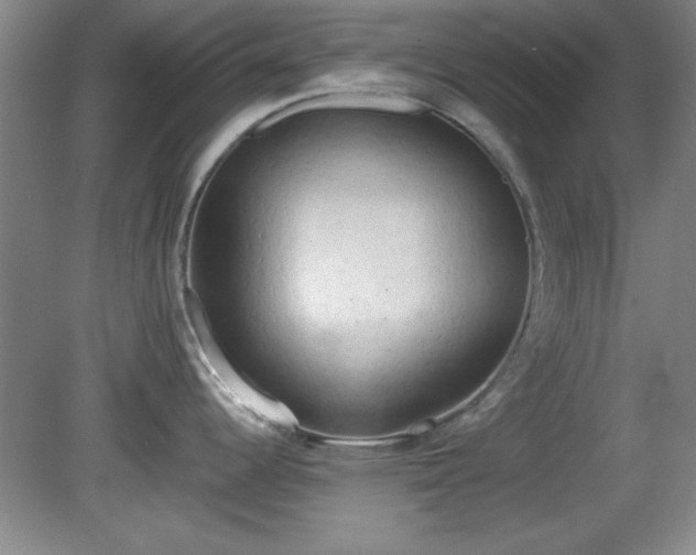 X0000081381344200701182156