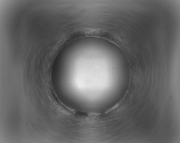 X0000081381345200701182155