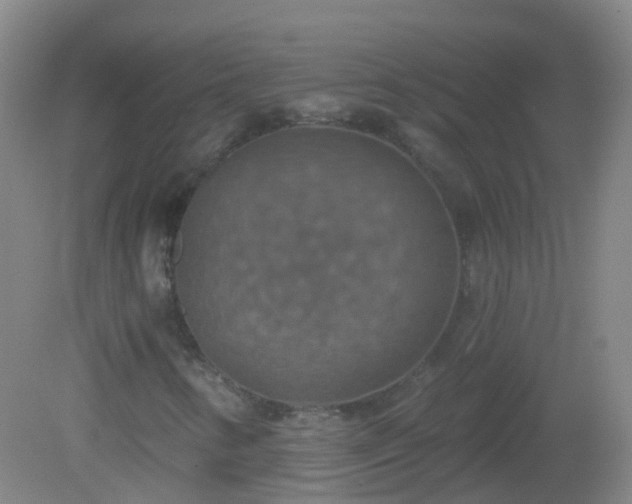 X0000081381346200701182155
