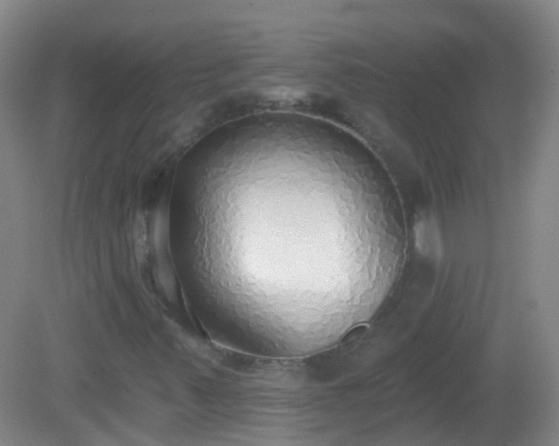 X0000081381347200701182155
