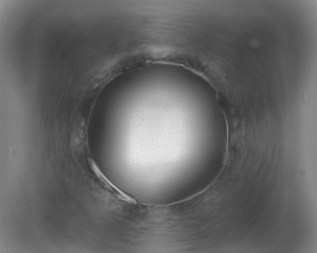 X0000081381349200701182155