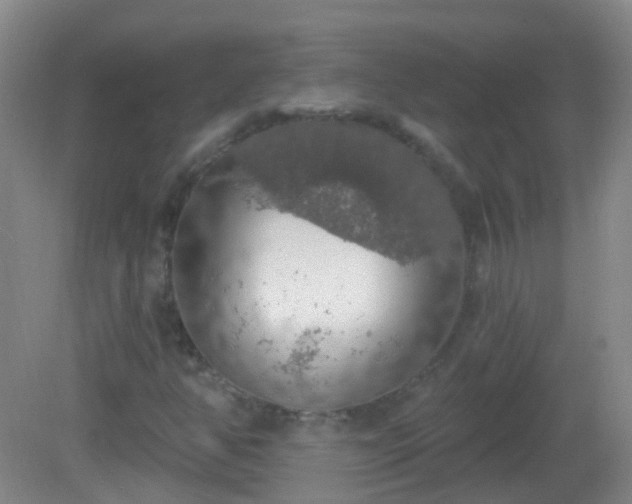 X0000081381350200701182155