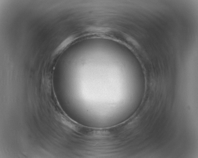 X0000081381354200701182155