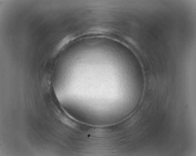X0000081381355200701182155