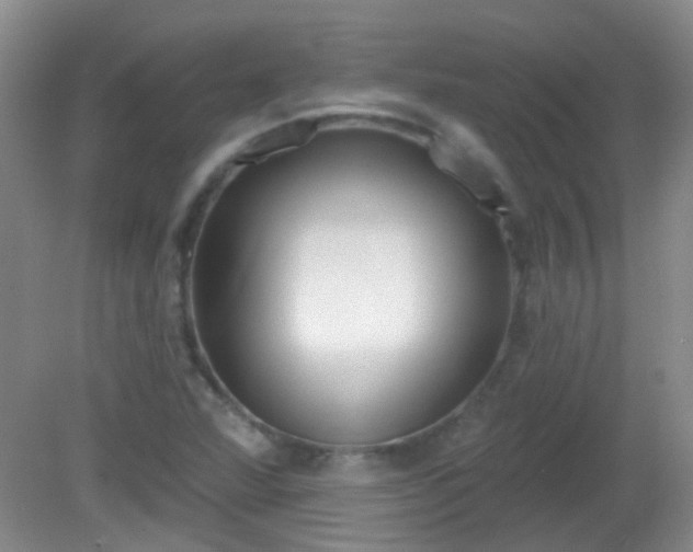 X0000081381360200701182154