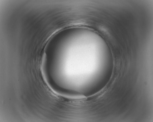 X0000081381361200701182154