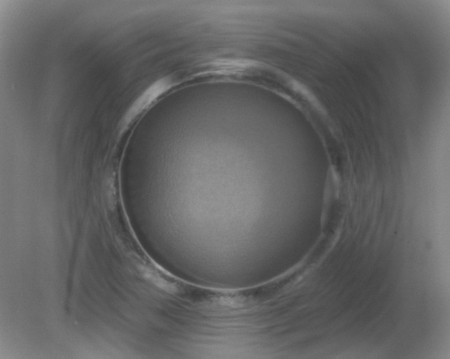 X0000081381362200701182154