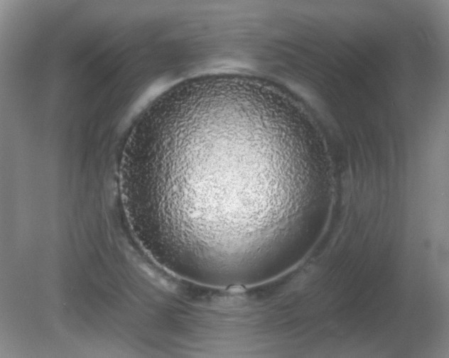 X0000081381363200701182154