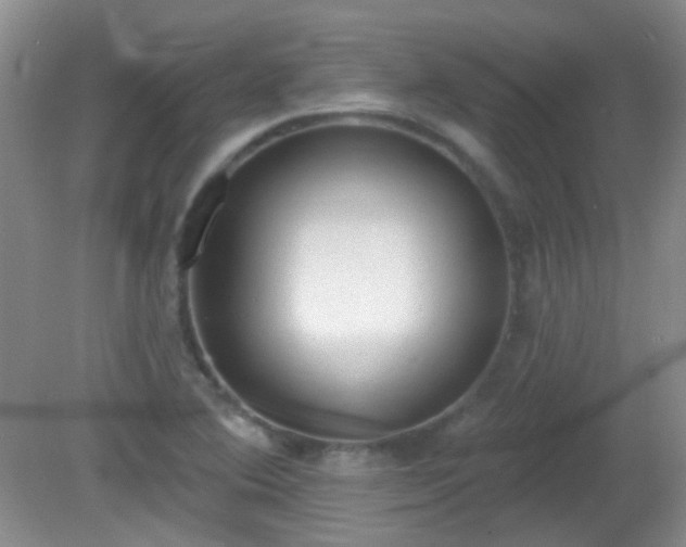 X0000081381364200701182154