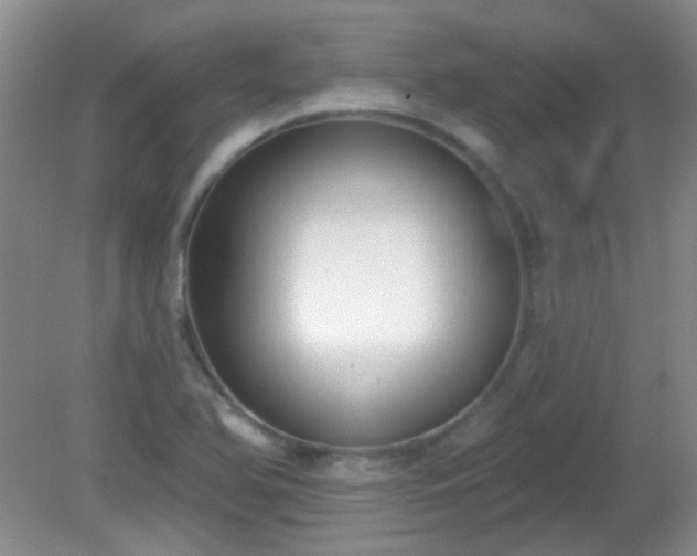 X0000081381366200701182154