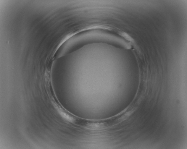 X0000081381369200701182154