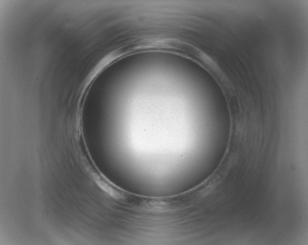 X0000081381370200701182154