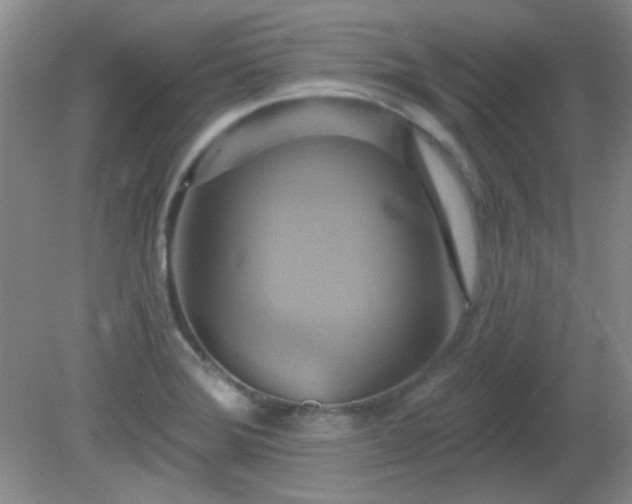 X0000081381372200701182154