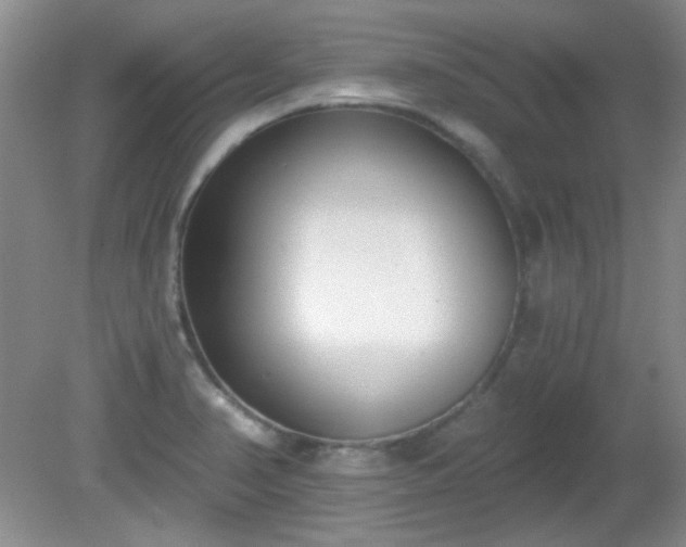X0000081381374200701182154