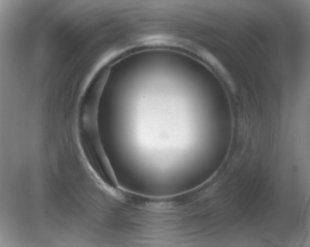 X0000081381376200701182154