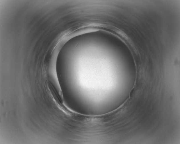 X0000081381377200701182154