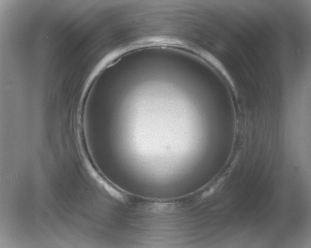 X0000081381381200701182154