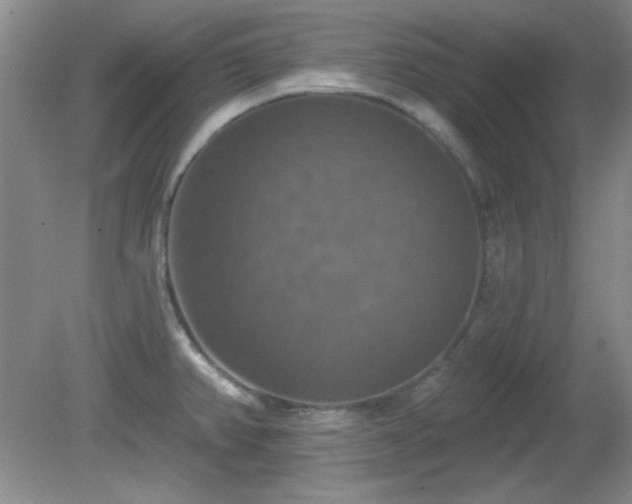 X0000081381382200701182154