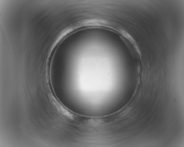 X0000081381384200701182154