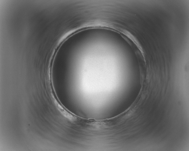 X0000081381388200701182154