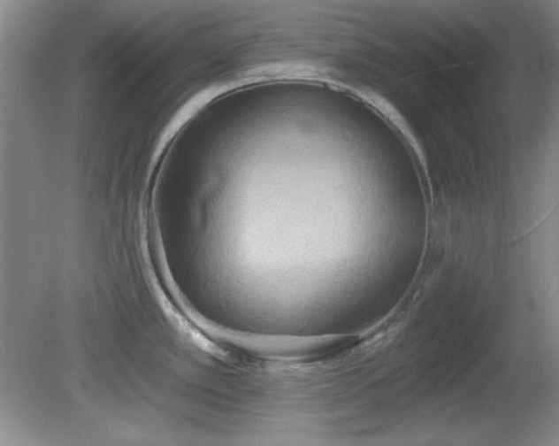 X0000081381389200701182154