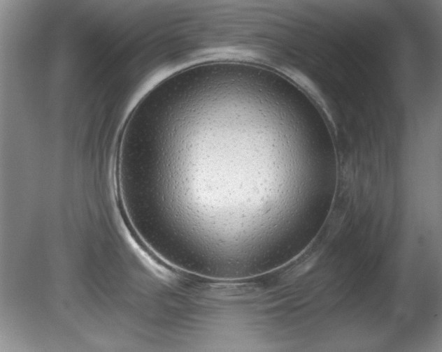 X0000081381391200701182154