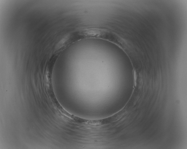 X0000081381394200701182153