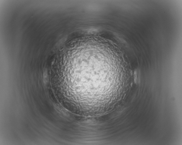 X0000081381395200701182153