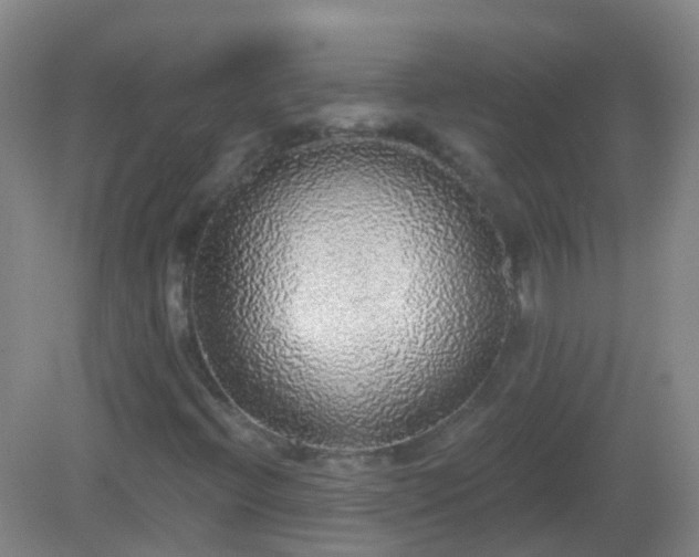 X0000081381396200701182153