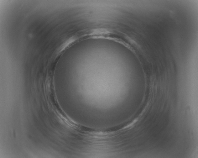 X0000081381401200701182153