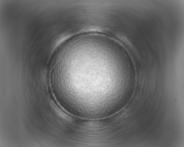 X0000081381404200701182153
