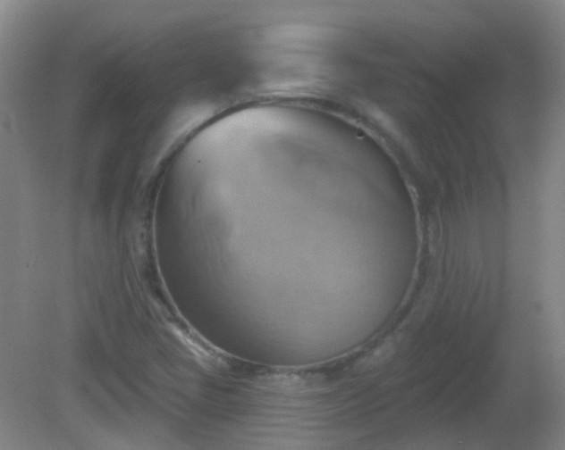 X0000081381405200701182153