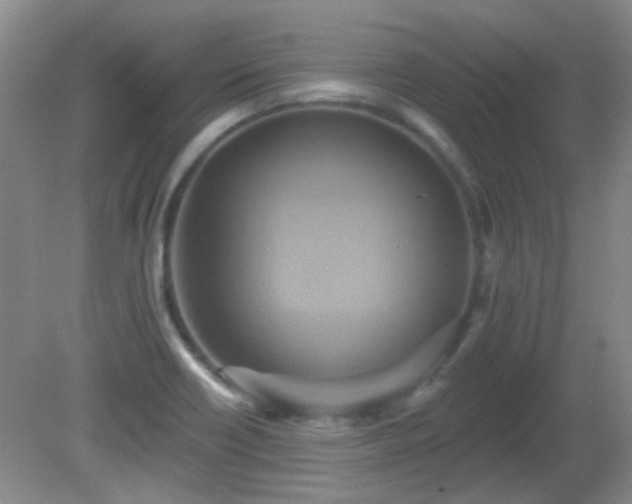 X0000081381418200701182154