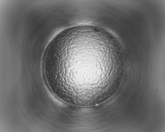 X0000081381423200701182154